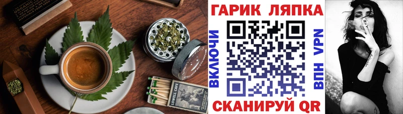 MEGA вход  где найти наркотики  Сухиничи  Cannafood конопля 