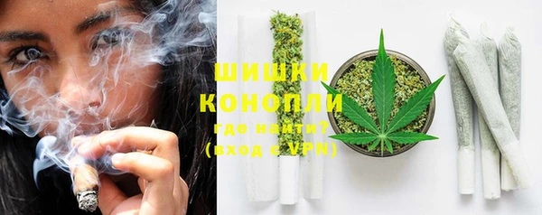 эйфоретик Арсеньев