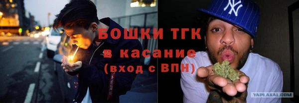 эйфоретик Арсеньев